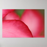 Pink Leaf Poster