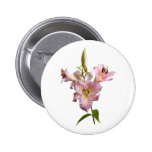 Pink Lilies Button