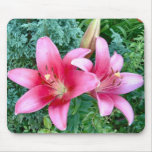 Pink Lilies Mousepad