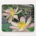 Pink Lilies Mousepad