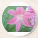 Pink Lilly Coasters