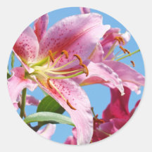 Pink Lily Flowers stickers Custom Shapes Lilies