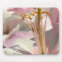 Pink Lily Macro Mouse Pads