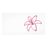 Pink Lily photo cards