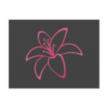 Pink Lily postcards