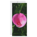 Pink lily rack cards
