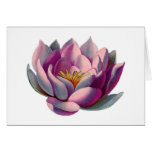 Pink Lotus Blossom Cards