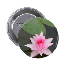 Pink Lotus Flower