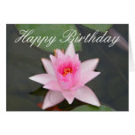 Pink Lotus Flower Greeting Card