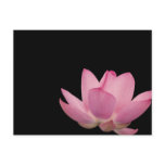 Pink Lotus Flower postcards