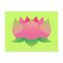 Pink Lotus Flower postcards