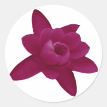 Pink Lotus Flower Sticker