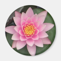 Pink Lotus Magnet