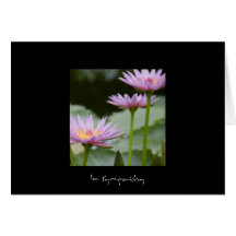 Pink Lotus • Sympathy Card