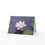 Pink Lotus with Dragon Fly Cards