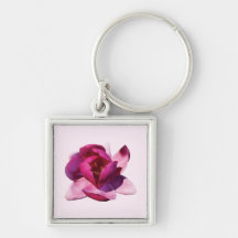 Pink Magnolia Closeup Key Chains