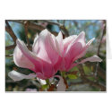 Pink Magnolia Flower Photo Blank Note Card