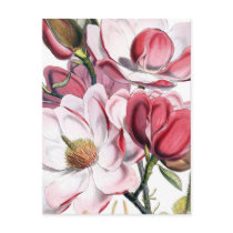 Pink Magnolia Flowers Postcard