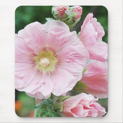 pink mallow mousepads