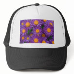 Pink Michaelmas Daisy hats
