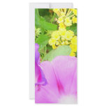 Pink Morning Glories Growing by Yellow Lantana rack cards