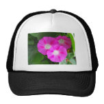 Pink Morning Glories Trio Trucker Hats