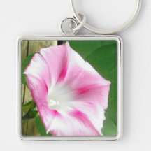 Pink morning glory key chains