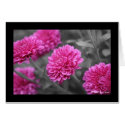 Pink Mum Card