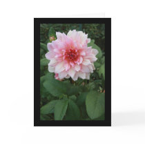 Pink Mum? Card