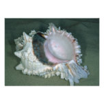 Pink murex (Murex erythrostomus) Shell Personalized Invitations