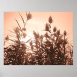 Pink Nature art print
