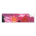 Pink Nerium Oleander flowers bumper stickers