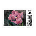 Pink Night Tulip Wedding Postage postage