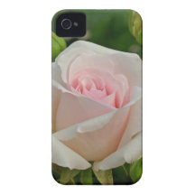 Pink Ophelia Hybrid Rose Case-Mate iPhone 4 Case