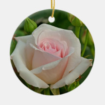 Pink Ophelia Hybrid Rose Ornaments