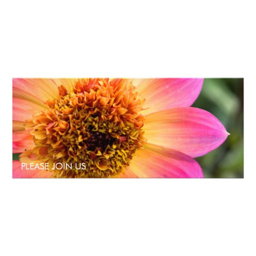 Pink & Orange Dahlia Personalized Announcement