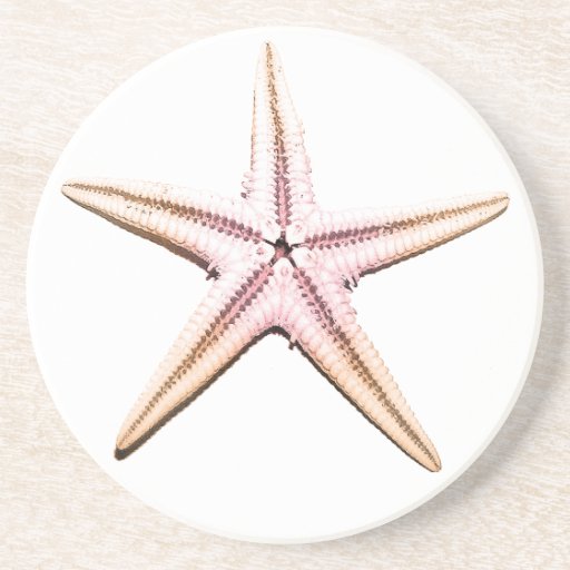 Pink & Orange Sea Shells Beverage Coaster