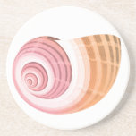 Pink & Orange Sea Shells Coaster