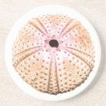 Pink & Orange Sea Shells Coasters