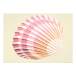 Pink & Orange Sea Shells Custom Invitations