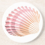 Pink & Orange Sea Shells Drink Coasters