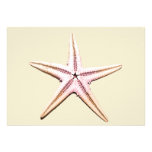 Pink & Orange Sea Shells Personalised Announcements