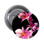 Pink Orchid.