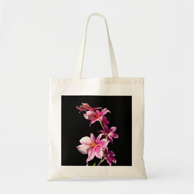 Orchid Canvas