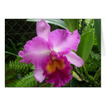 pink orchid greeting card