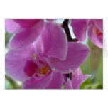 Pink Orchid Menu Greeting Cards