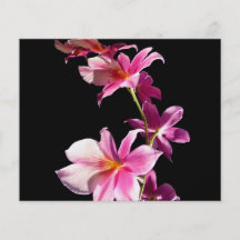 Pink Orchid. Personalized Flyer