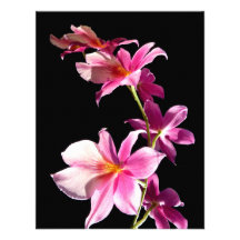 Pink Orchid. Personalized Invites