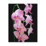 Pink orchid post cards