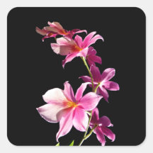 Pink Orchid. Sticker